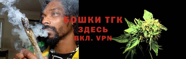 шишки Новозыбков