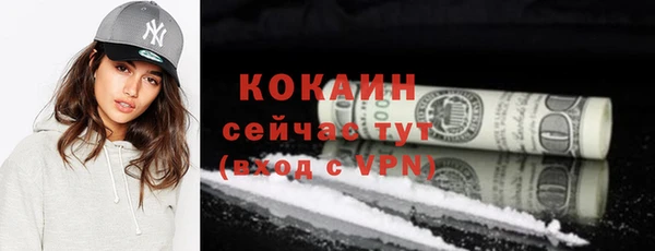 шишки Новозыбков