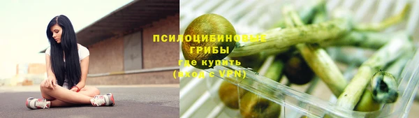 ПСИЛОЦИБИНОВЫЕ ГРИБЫ Нягань