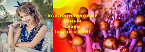 прущая мука Остров