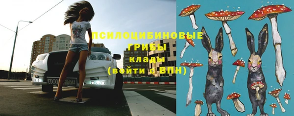 mdma Няндома