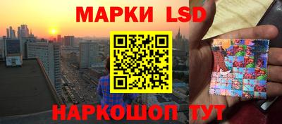 прущие грибы Ирбит