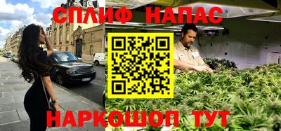 прущие грибы Ирбит