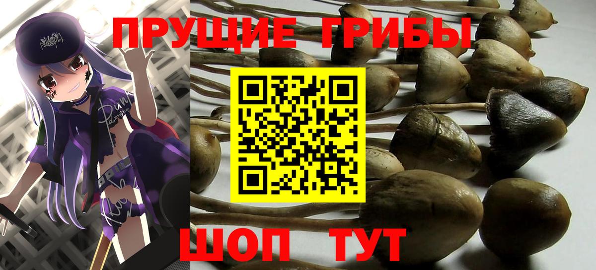 Галлюциногенные грибы GOLDEN TEACHER  Кстово 