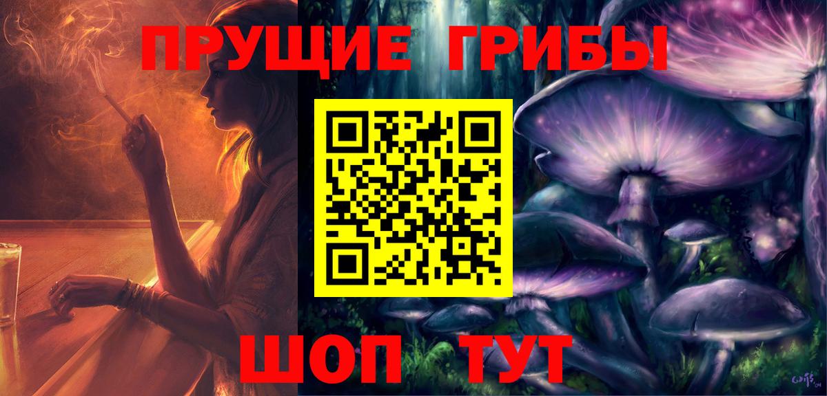 Галлюциногенные грибы Psilocybe Кстово