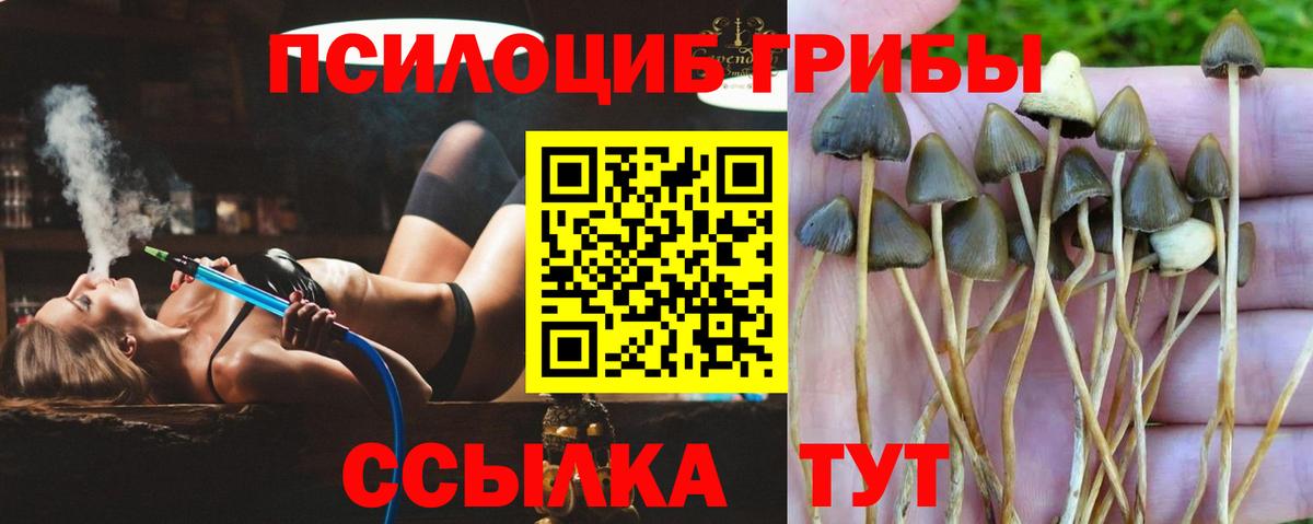 Кстово  Галлюциногенные грибы Magic Shrooms  Псилоцибиновые грибы MAGIC MUSHROOMS  закладка  Вход с VPN 